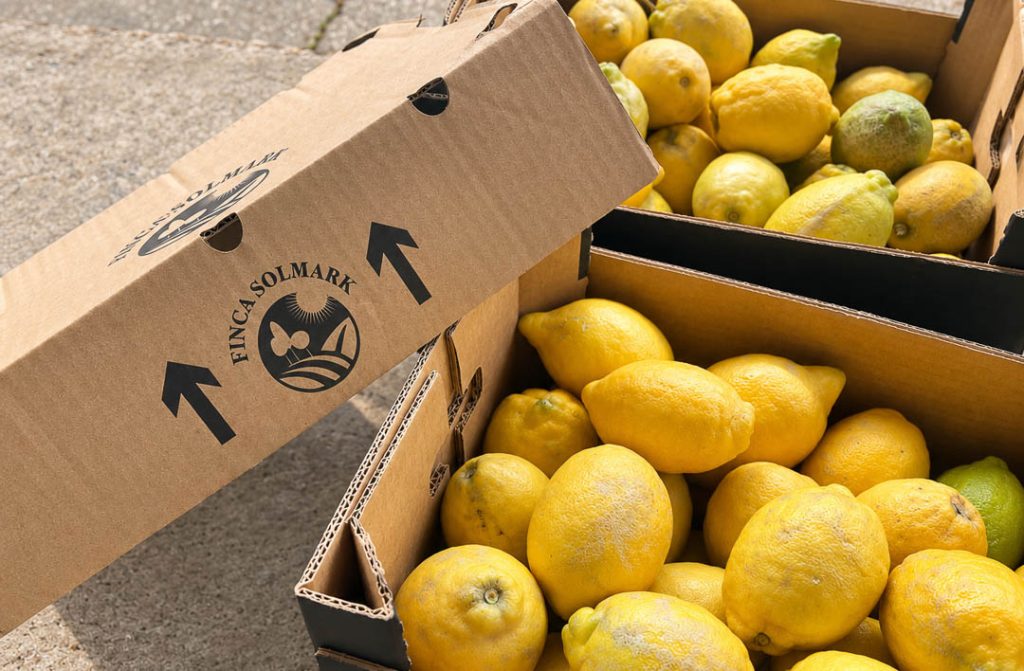 Citroner som används till Dala Destilleris limoncello
